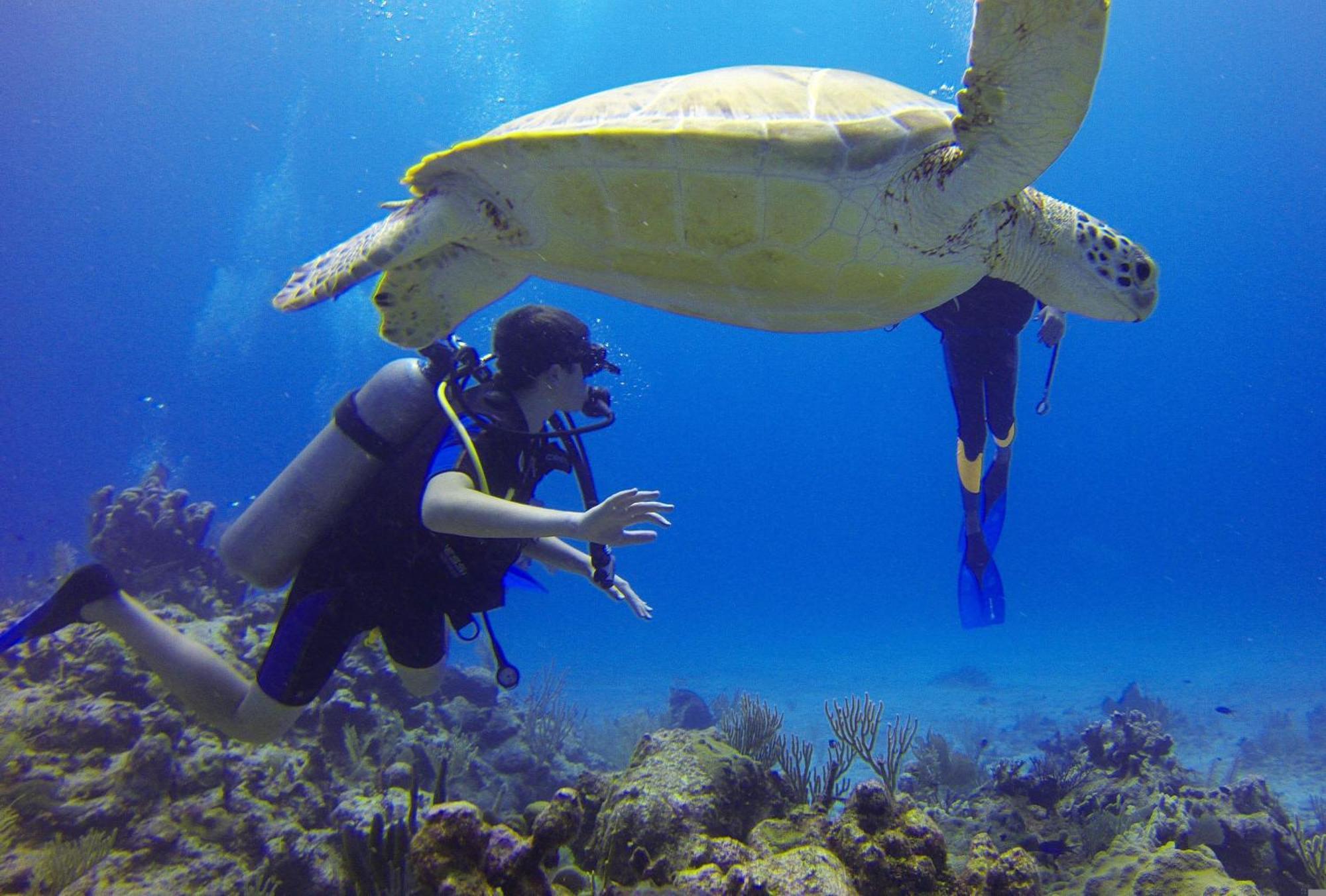 Готель Roxon Red Sea Eilat - Adults Only Екстер'єр фото
